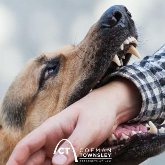 The Most Common Complications From Dog Bites
